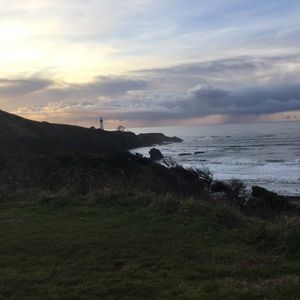 Meet your Posher, Omar